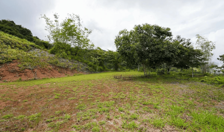 San Salvador de Baru, Perez Zeledon, 11909, ,Land,For Sale,San Salvador de Baru,1099