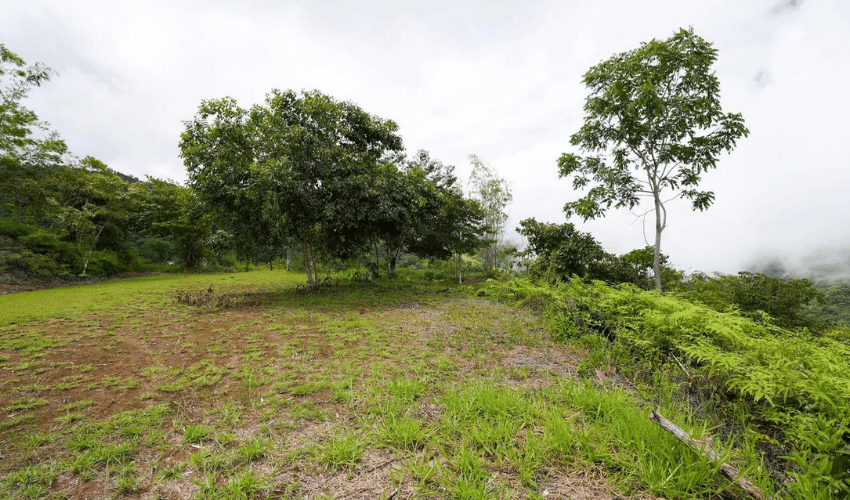 San Salvador de Baru, Perez Zeledon, 11909, ,Land,For Sale,San Salvador de Baru,1099