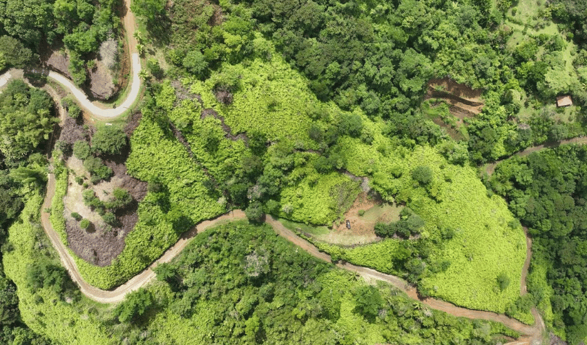 San Salvador de Baru, Perez Zeledon, 11909, ,Land,For Sale,San Salvador de Baru,1099