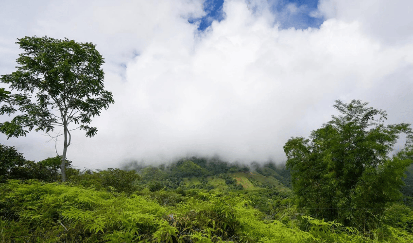 San Salvador de Baru, Perez Zeledon, 11909, ,Land,For Sale,San Salvador de Baru,1099