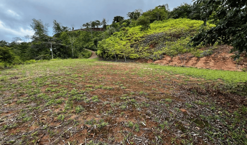 San Salvador de Baru, Perez Zeledon, 11909, ,Land,For Sale,San Salvador de Baru,1099