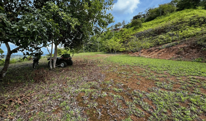 San Salvador de Baru, Perez Zeledon, 11909, ,Land,For Sale,San Salvador de Baru,1099