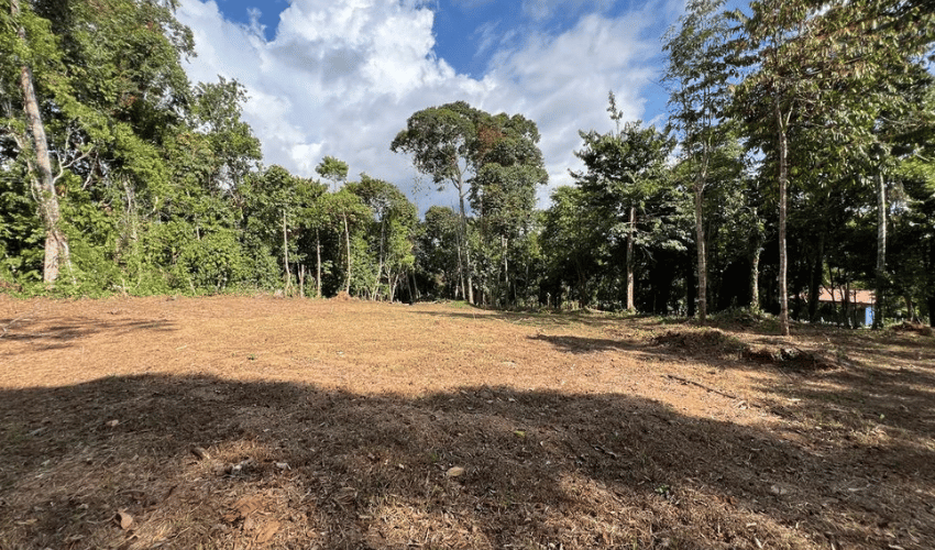 Miravalles, Perez Zeledon, 11901, ,Land,For Sale,Miravalles,1102