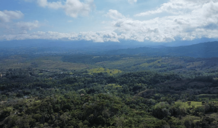 Miravalles, Perez Zeledon, 11901, ,Land,For Sale,Miravalles,1102