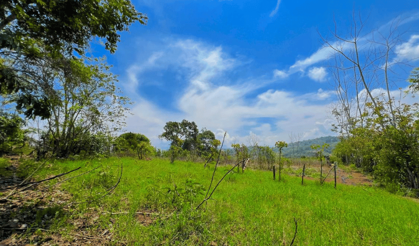 San Isidro de El General, Perez Zeledon, 11901, ,Land,For Sale,San Isidro de El General,1104