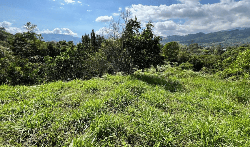 San Rafael Norte, Perez Zeledon, 11901, ,Land,For Sale,San Rafael Norte,1105