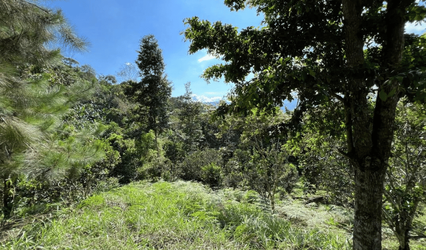 San Rafael Norte, Perez Zeledon, 11901, ,Land,For Sale,San Rafael Norte,1105