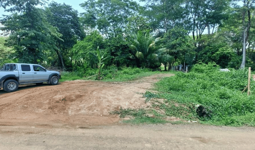 Bahia Ballena, Osa, 60504, ,Land,For Sale,Bahia Ballena,1107