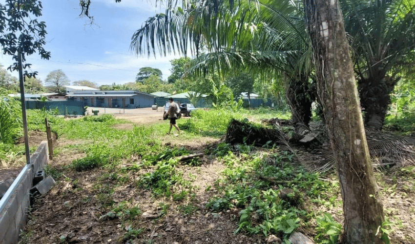 Bahia Ballena, Osa, 60504, ,Land,For Sale,Bahia Ballena,1107