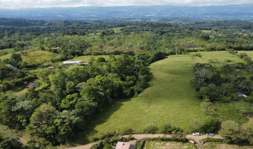 Quizarra, Perez Zeledon, 11902, ,Land,For Sale,Quizarra,1108