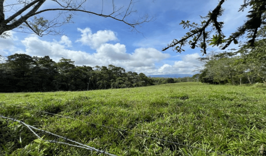 Quizarra, Perez Zeledon, 11902, ,Land,For Sale,Quizarra,1108