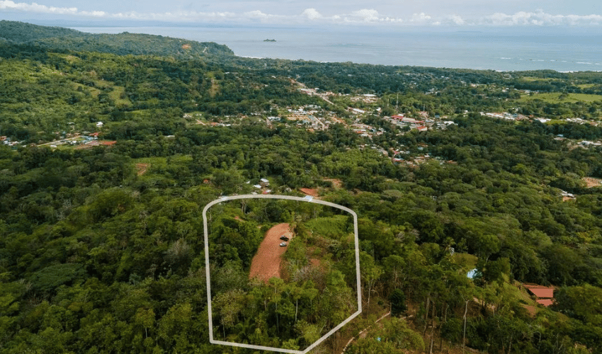 Uvita, Osa, 60504, ,Land,For Sale,Uvita,1109