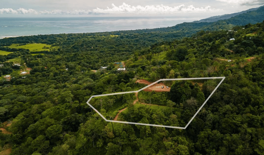 Uvita, Osa, 60504, ,Land,For Sale,Uvita,1109