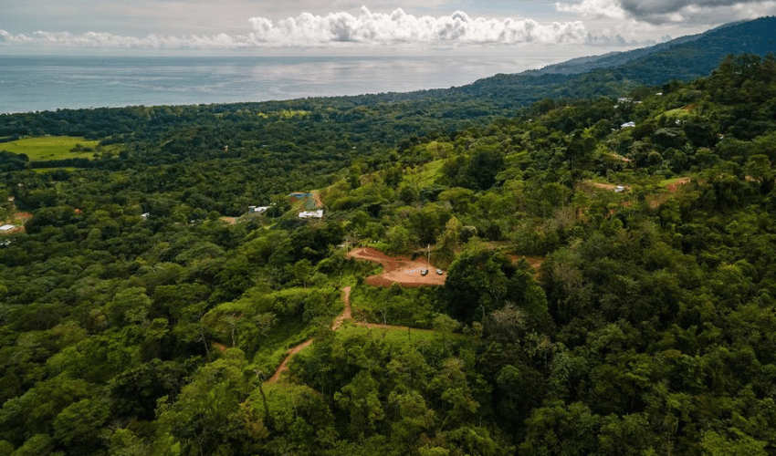 Uvita, Osa, 60504, ,Land,For Sale,Uvita,1109