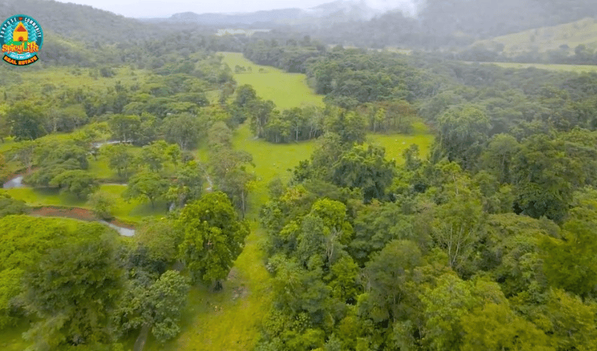 Puerto Jimenez, Osa, 60702, ,Land,For Sale,Puerto Jimenez,1111