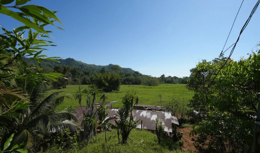 Puerto Jimenez, Osa, 60702, ,Land,For Sale,Puerto Jimenez,1111