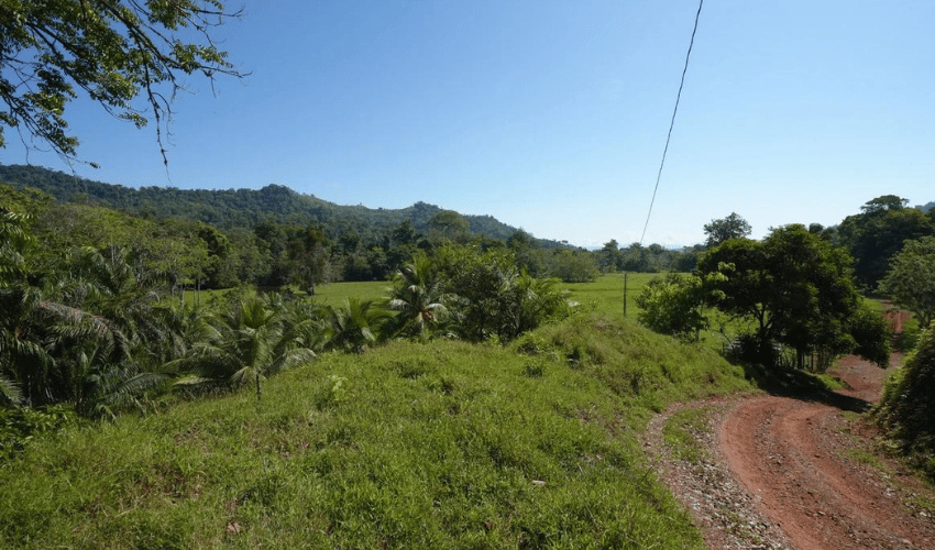 Puerto Jimenez, Osa, 60702, ,Land,For Sale,Puerto Jimenez,1111