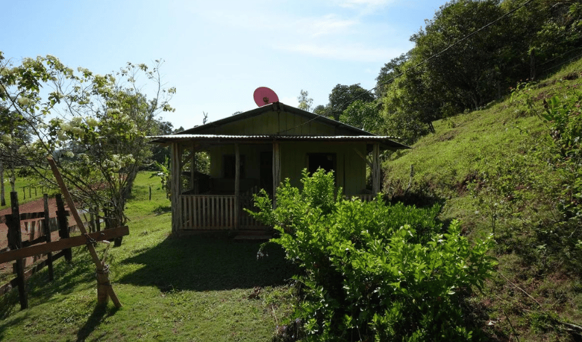 Puerto Jimenez, Osa, 60702, ,Land,For Sale,Puerto Jimenez,1111