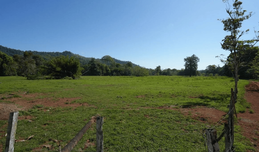 Puerto Jimenez, Osa, 60702, ,Land,For Sale,Puerto Jimenez,1111