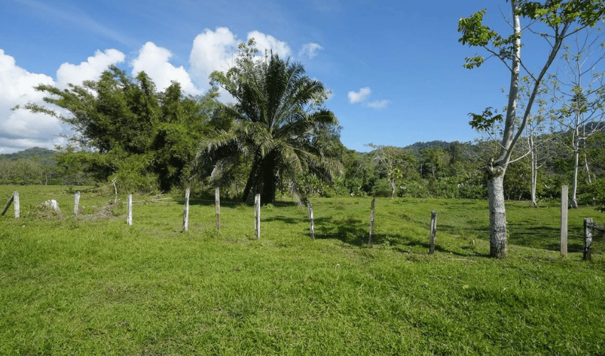 Puerto Jimenez, Osa, 60702, ,Land,For Sale,Puerto Jimenez,1111