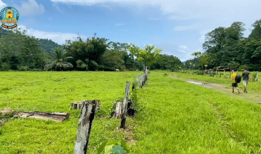 Puerto Jimenez, Osa, 60702, ,Land,For Sale,Puerto Jimenez,1111