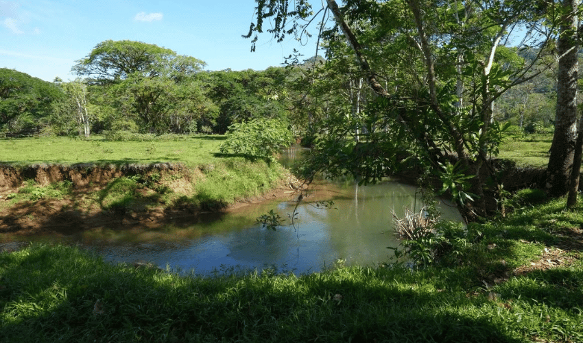 Puerto Jimenez, Osa, 60702, ,Land,For Sale,Puerto Jimenez,1111