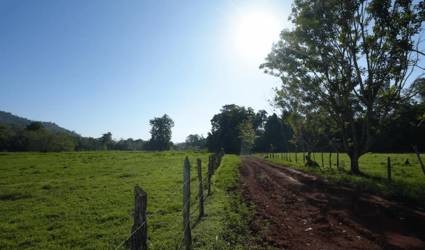 Puerto Jimenez, Osa, 60702, ,Land,For Sale,Puerto Jimenez,1111