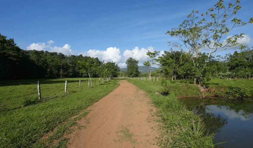 Puerto Jimenez, Osa, 60702, ,Land,For Sale,Puerto Jimenez,1111