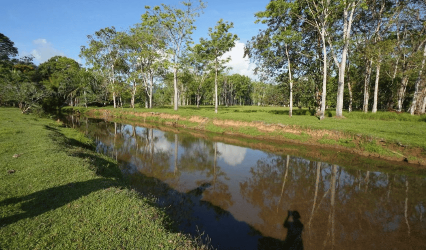 Puerto Jimenez, Osa, 60702, ,Land,For Sale,Puerto Jimenez,1111