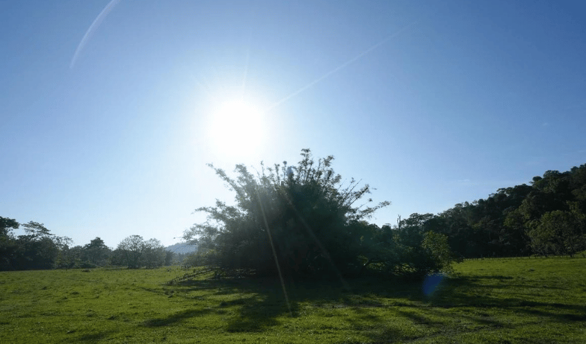 Puerto Jimenez, Osa, 60702, ,Land,For Sale,Puerto Jimenez,1111