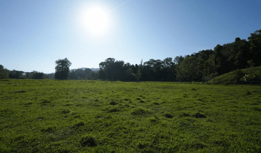 Puerto Jimenez, Osa, 60702, ,Land,For Sale,Puerto Jimenez,1111