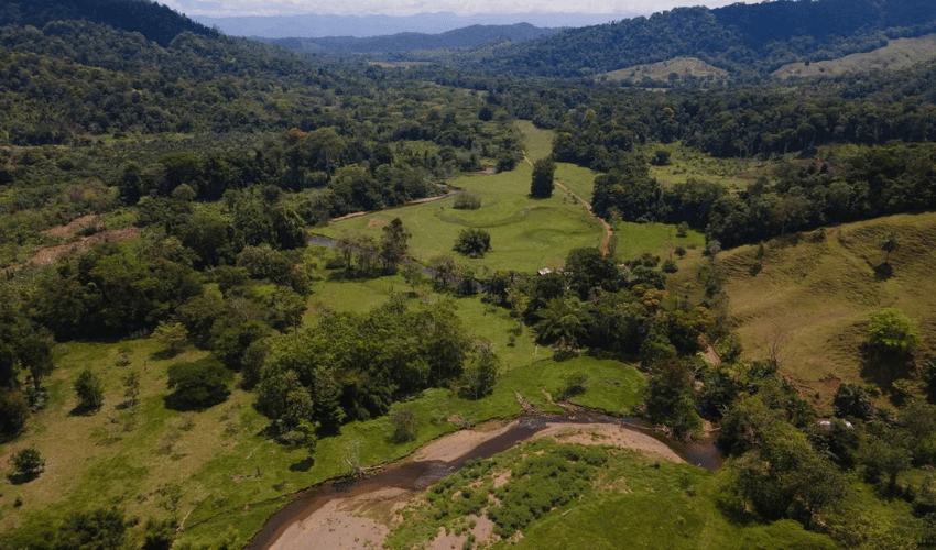 Puerto Jimenez, Osa, 60702, ,Land,For Sale,Puerto Jimenez,1111