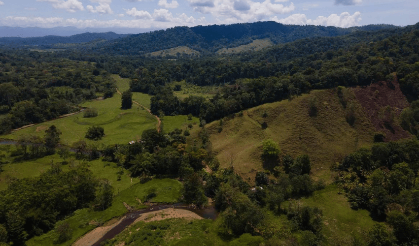 Puerto Jimenez, Osa, 60702, ,Land,For Sale,Puerto Jimenez,1111