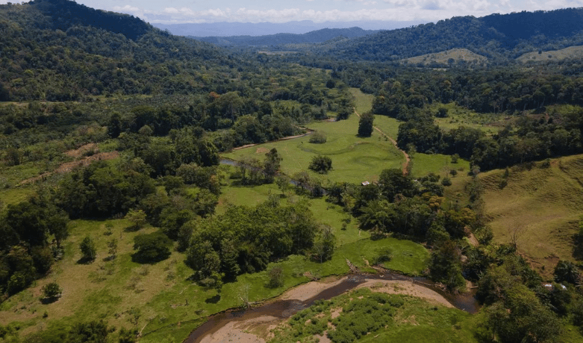 Puerto Jimenez, Osa, 60702, ,Land,For Sale,Puerto Jimenez,1111