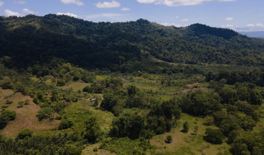 Puerto Jimenez, Osa, 60702, ,Land,For Sale,Puerto Jimenez,1111