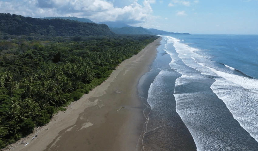 Matapalo, Quepos, 60602, ,Land,For Sale,Matapalo,1112