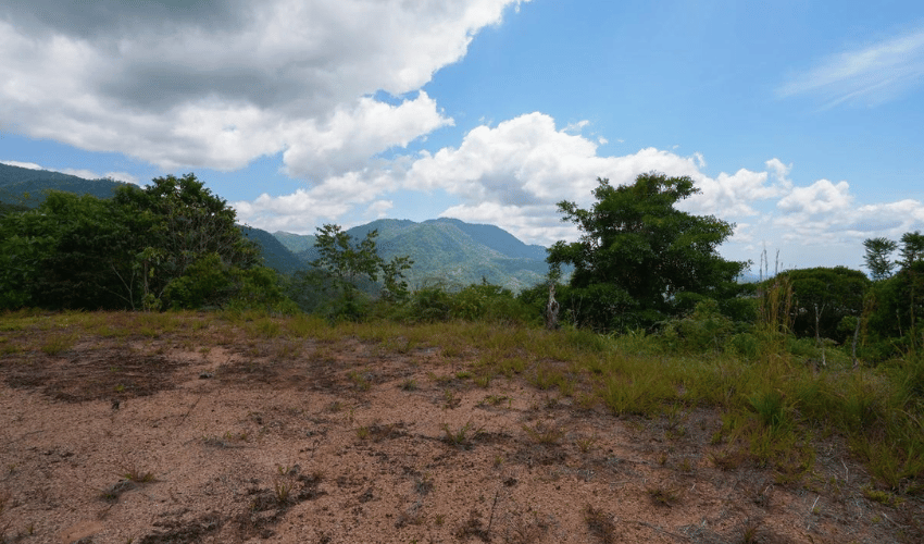 Tres Rios, Osa, 60501, ,Land,For Sale,Tres Rios,1113