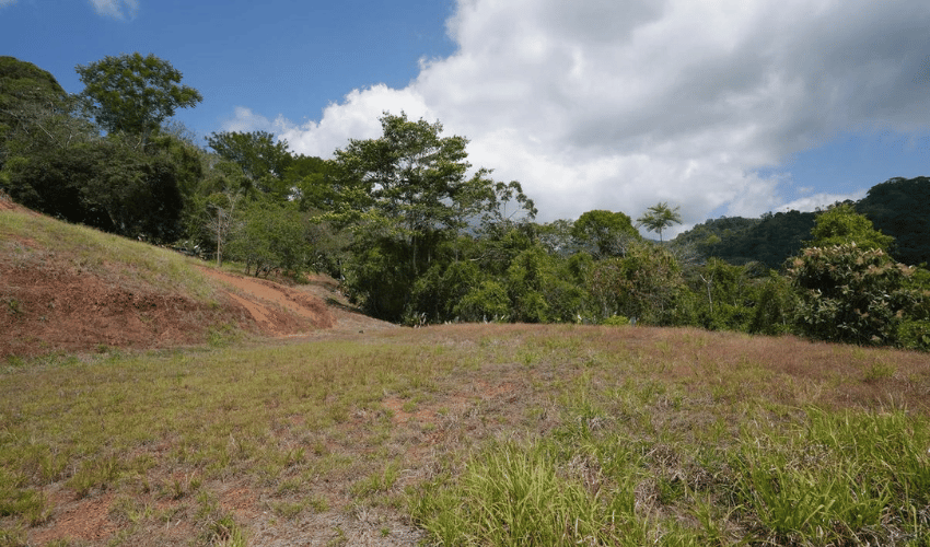 Tres Rios, Osa, 60501, ,Land,For Sale,Tres Rios,1113