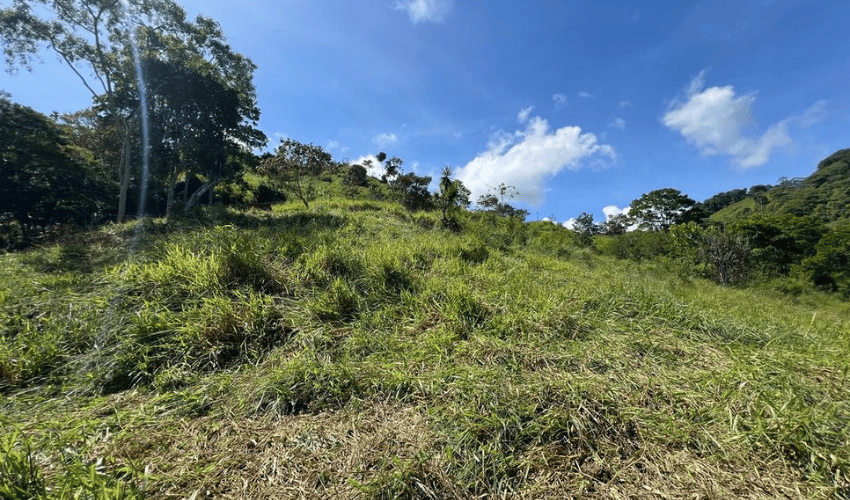 Los Reyes, Perez Zeledon, 11906, ,Land,For Sale,Los Reyes,1116