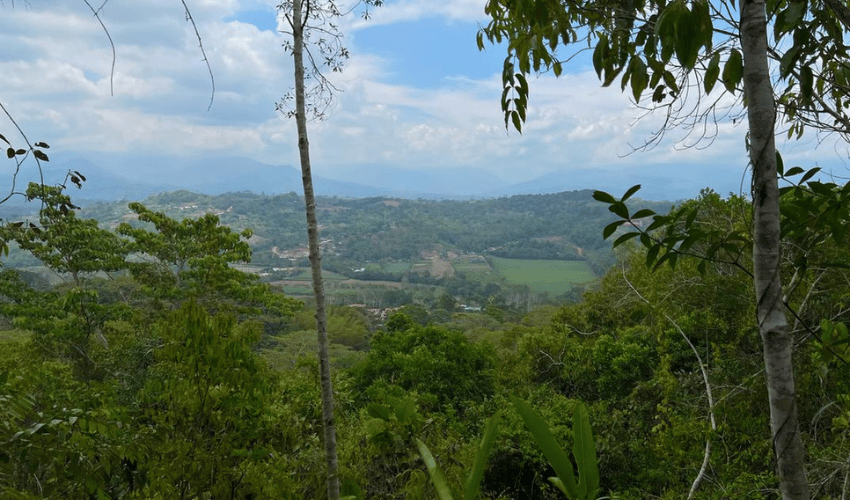 Rosario de Pacuar, Perez Zeledon, 11901, ,Land,For Sale,Rosario de Pacuar,1117