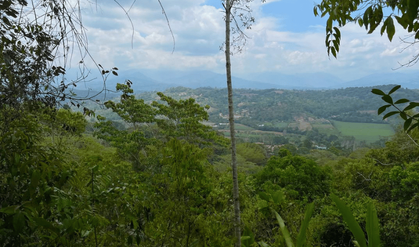 Rosario de Pacuar, Perez Zeledon, 11901, ,Land,For Sale,Rosario de Pacuar,1117