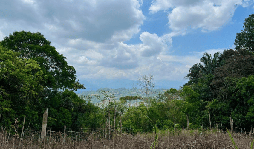 Rosario de Pacuar, Perez Zeledon, 11901, ,Land,For Sale,Rosario de Pacuar,1117