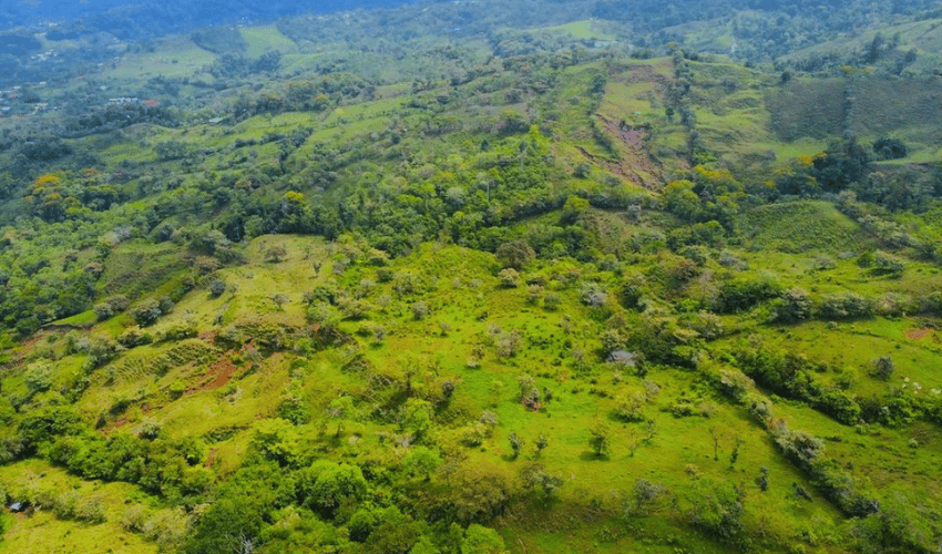 Rivas, Perez Zeledon, 11904, ,Land,For Sale,Rivas,1118