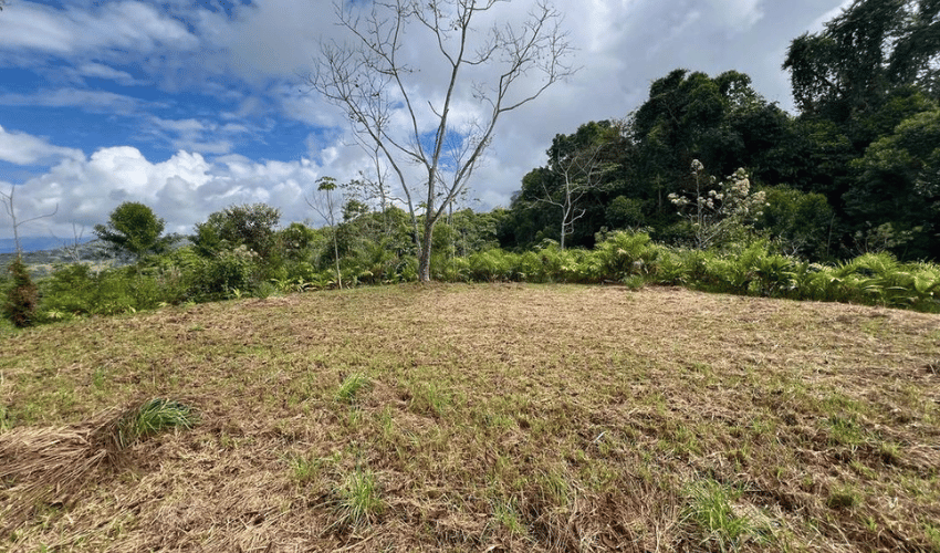 San Salvador de Baru, Puntarenas, 11909, ,Land,For Sale,San Salvador de Baru,1119