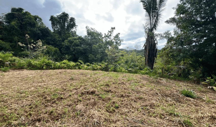 San Salvador de Baru, Puntarenas, 11909, ,Land,For Sale,San Salvador de Baru,1119