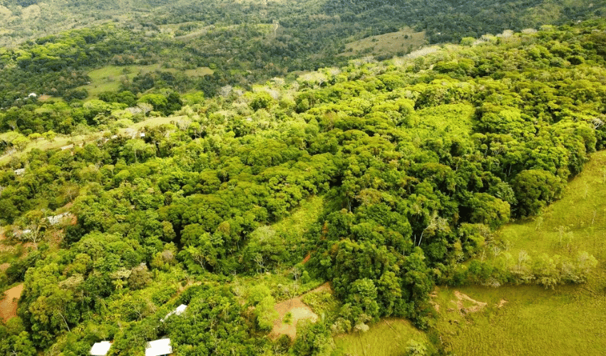 San Salvador de Baru, Puntarenas, 11909, ,Land,For Sale,San Salvador de Baru,1119