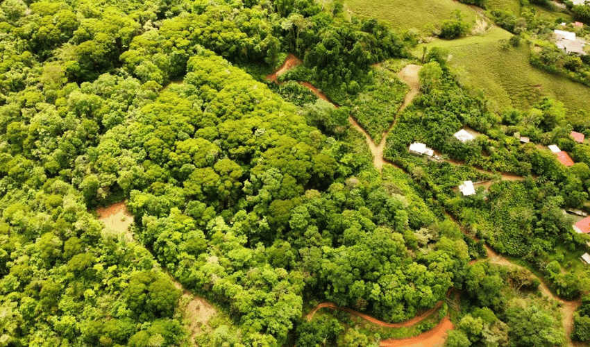 San Salvador de Baru, Puntarenas, 11909, ,Land,For Sale,San Salvador de Baru,1119