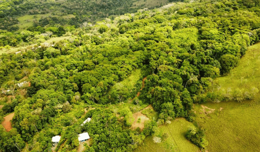 San Salvador de Baru, Puntarenas, 11909, ,Land,For Sale,San Salvador de Baru,1119