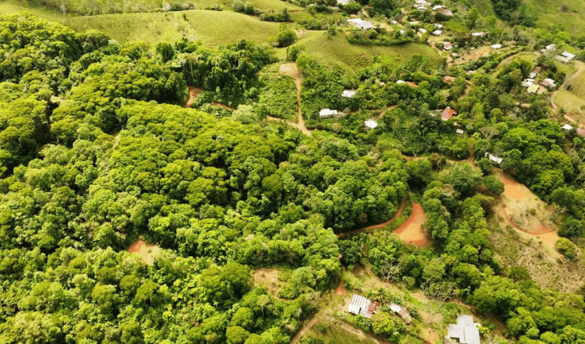 San Salvador de Baru, Puntarenas, 11909, ,Land,For Sale,San Salvador de Baru,1119