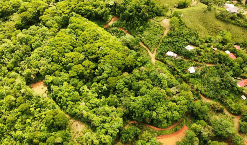 San Salvador de Baru, Puntarenas, 11909, ,Land,For Sale,San Salvador de Baru,1119